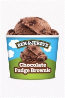 Chocoladeroomijs met stukken chocolate fudge brownie